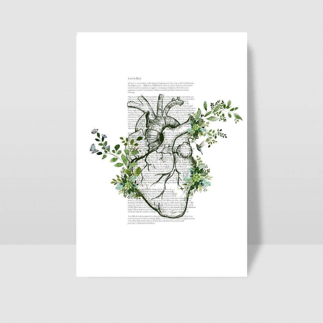 Anatomy in bloom collection set x 3 Love is kind/patient/thoughtful
