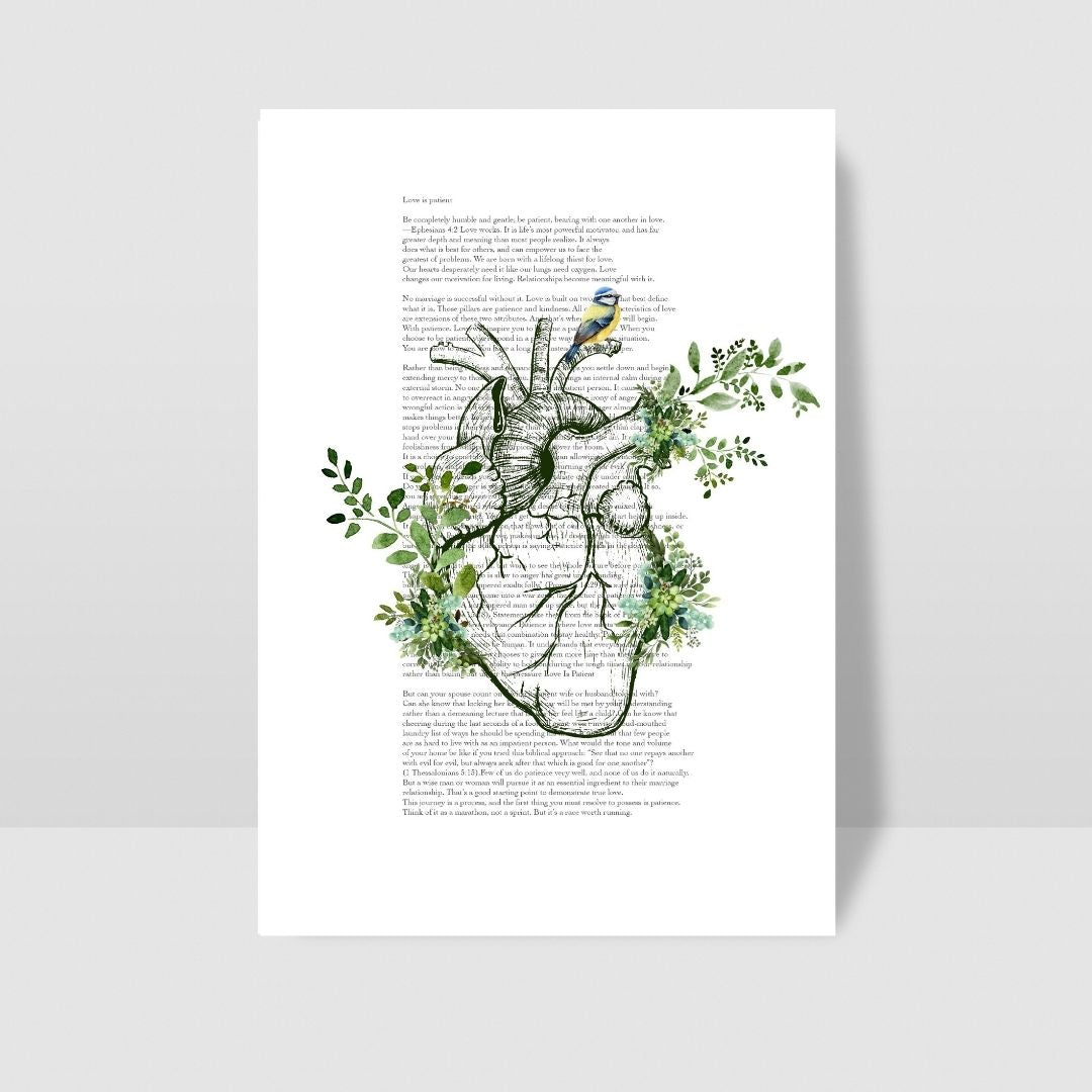 Anatomy in bloom collection 2 Love is Patient