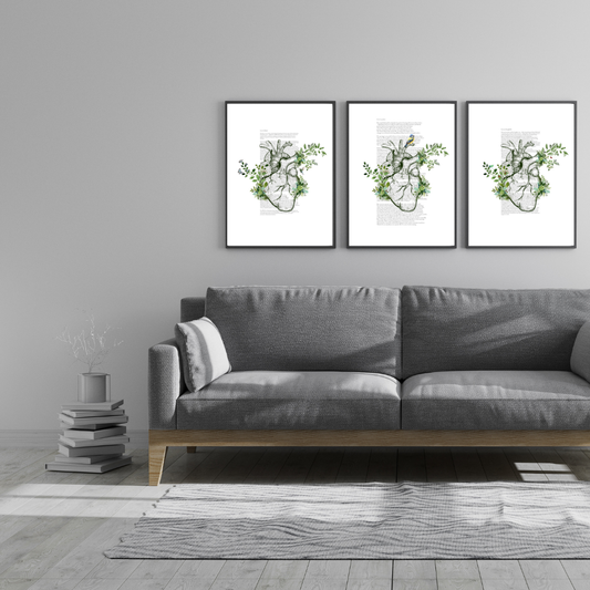 Anatomy in bloom collection set x 3 Love is kind/patient/thoughtful